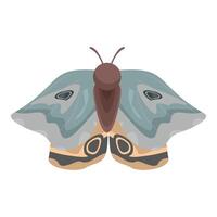 Giant silk moth spreading its wings on white background vector