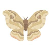 Beige moth spreading its wings on white background vector