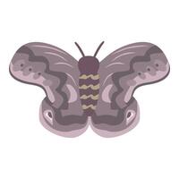 Purple moth spreading wings showing intricate patterns vector