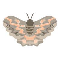 Beautiful butterfly spreading its wings on white background vector