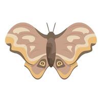 Beautiful brown butterfly standing with open wings vector