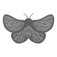 Big moth showing beautiful pattern on wings vector