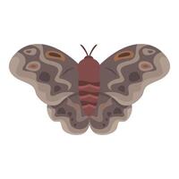 Brown butterfly with detailed wings is showing its beauty vector