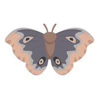 Beautiful butterfly with spread wings showing colorful pattern vector