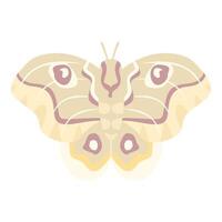 Giant silk moth spreading its wings on white background vector