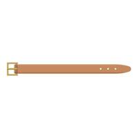 Brown leather belt with golden buckle isolated on white background vector