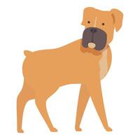 Big brown short haired dog walking on white background vector