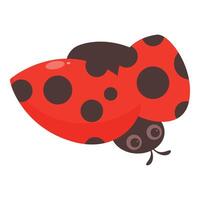 Cute ladybug opening its wings and preparing to fly vector