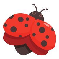 Cute red ladybug opening its shell on white background vector
