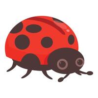 Cute ladybug crawling and looking for aphids vector