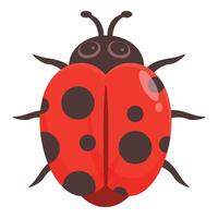 Happy red ladybug opening its shell illustration vector