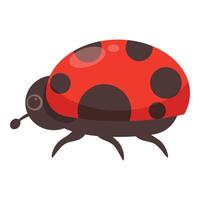 Red ladybug walking with black spots on shell vector
