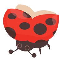 Red ladybug opening its shell flying in the air vector