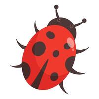 Cute ladybug crawling with its little legs vector
