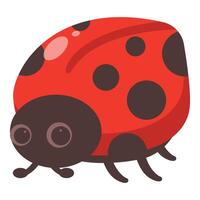 Cute ladybug crawling and showing its spots vector