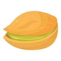 Single pistachio nut with opened shell showing green core vector