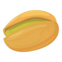 Single pistachio nut showing seed inside shell vector