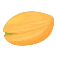 Single pistachio nut shell showing delicious green inside vector