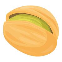 Opened pistachio showing nut inside shell vector