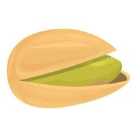 Single pistachio nut with open shell showing green kernel vector