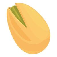 Single pistachio nut cracked open showing green seed vector