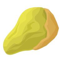 Half peeled green ripe avocado showing seed inside vector