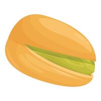 Pistachio nut showing seed inside shell vector