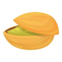 Single pistachio nut with open shell showing seed vector