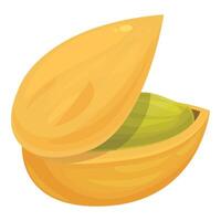 Pistachio nut showing seed inside shell vector