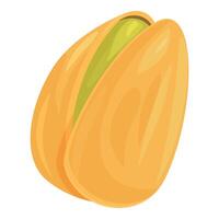 Ripe pistachio nut showing delicious kernel vector
