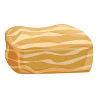 Raw pork belly block ready for cooking vector