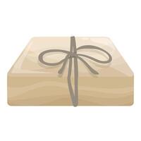 Rectangular cardboard box wrapped with brown string lying on white background vector