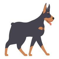 Doberman pinscher walking with tongue out illustration vector