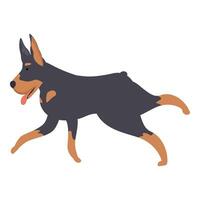 Happy doberman pinscher running with tongue out vector
