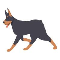 Doberman pinscher is running with its tongue out vector