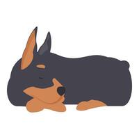Doberman pinscher sleeping peacefully with paws outstretched vector