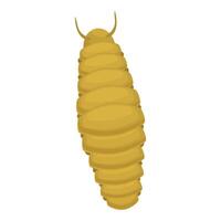 Wireworm larvae with segmented body isolated on white background vector