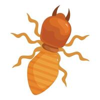 Tiny termite crawling, a destructive pest insect vector
