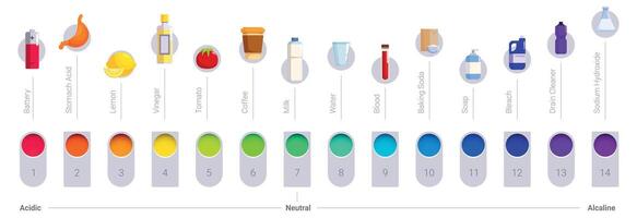 Ph scale icons set. Ph chart showing acidic alkaline levels of common substances vector