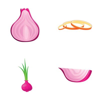 Fresh onion icons set cartoon . Whole and chopped onion