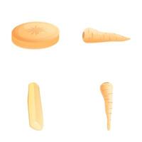 Fresh parsnip icons set cartoon . Whole and sliced parsnip root vector