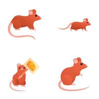 Little mouse icons set cartoon . Mouse with piece of cheese and present vector