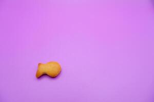 a biscuit shaped like a fish. Biscuit isolated on purple background. photo