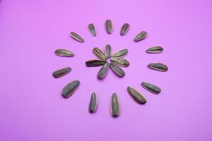 a collection of sunflower seeds isolated on a purple background. Sunflower seeds are used as snacks. photo