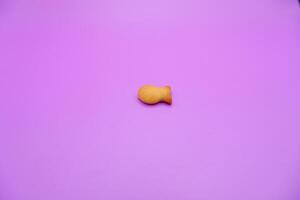 a biscuit shaped like a fish. Biscuit isolated on purple background. photo