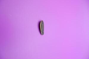 a sunflower seed isolated on a purple background photo
