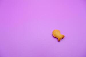 a biscuit shaped like a fish. Biscuit isolated on purple background. photo