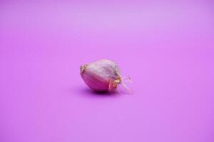 shallots that have started to grow roots. red onion isolated on purple background. photo