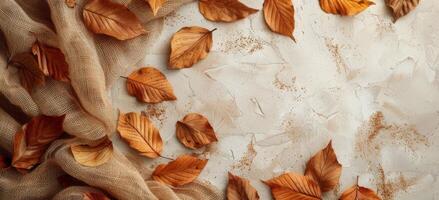 Dried Autumn Leaves and Burlap Fabric on White Background photo