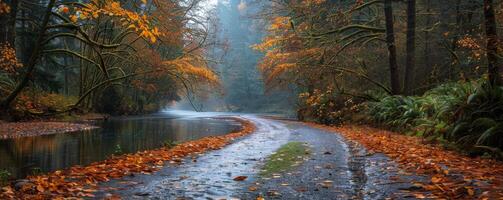 A Foggy Autumn Road Leading to a Calm River in the Pacific Northwest photo